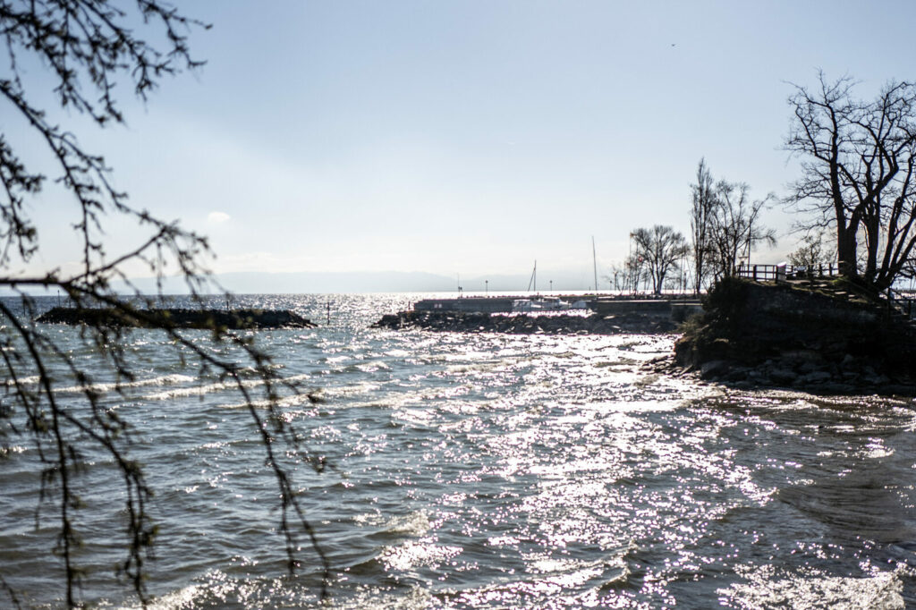 der abschlussbericht zum seewärme-projekt liegt vor 2 260429 abschlussbericht seewaerme