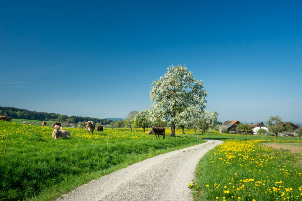 öffnungszeiten auffahrt 2026 1 landschaft thurgau